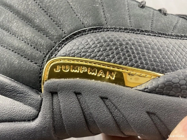 CT8013-071 Jordan Air 12 Taxi Black 0912